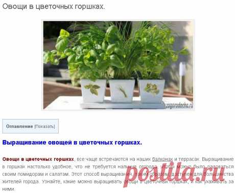 Овощи в цветочных горшках. - Дом сад огород