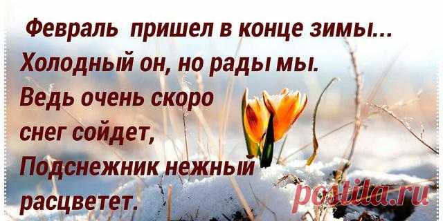 Февраль — уже тают снега понемножку
И птички вернутся вот-вот…
Зима собирает пожитки в лукошко
И скоро на север уйдет.
Февраль — и веселое солнышко светит,
Чтоб землю от сна разбудить,
И радостно очень всем взрослым и детям
Работать, учиться и жить!