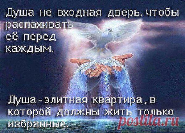 ❤ღツ Здесь вы найдёте самое интересное ✙ ВИДЕО  ❤ღツ
Люда Санникова (Бубнова)