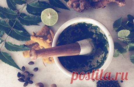 Маска для лица с зеленым чаем: стираем морщины - Ladiesvenue