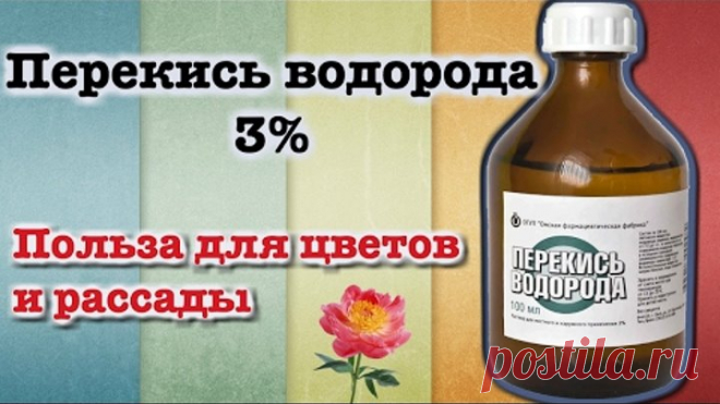 (7) Одноклассники