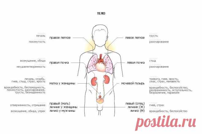 (100) Реальная Психосоматика