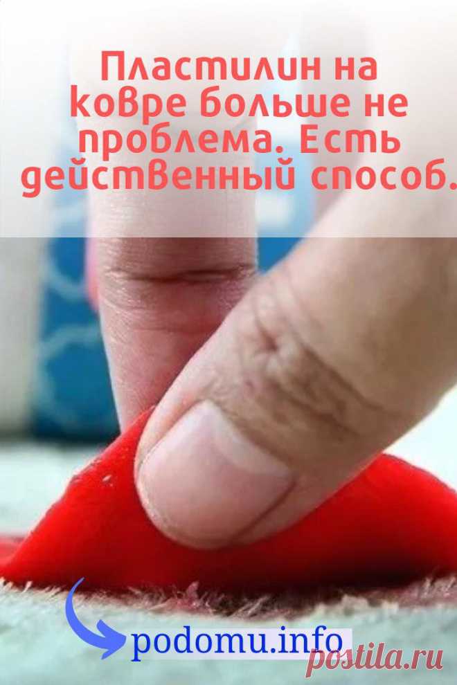 В доме, где есть маленькие дети, всегда найдется пластилин. Многие родители с раннего возраста пытаются приобщить ребенка к творчеству, ведь лепка – это полезное и интересное занятие. Оно способствует развитию мелкой моторики, интеллекта и воображения, улучшает координацию глаз и рук. Но есть один неприятный минус. После такой игрушки могут появиться цветные пятна на вашем паласе! Масса сразу начинает впитываться в ворс, поэтому требует скорейшего удаления. #ковёр#пластилин#чисткаковра#уборка