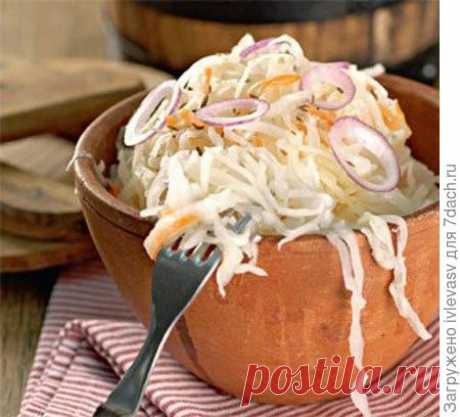 Как вкусно и быстро заквасить капусту? - ответы экспертов 7dach.ru