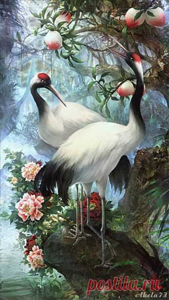 Alfredo Mendoza – Google+