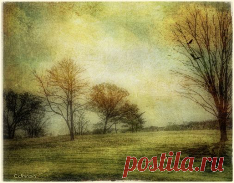 Google+