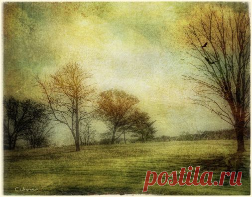 Google+