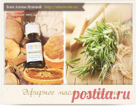 Эфирное масло розмарина для волос