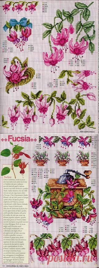 Делимся схемами - Вышивка крестом