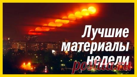 Собрали 5 самых популярных материалов этой недели. 1. Вибриоз. Как устрицы убивают людей: 2. Видео. Пассажирский лайнер едва не разбился при посадке: 3. Найдено самое старое дерево Европы: 4. Последняя в мире квакша редкого вида умерла, не оставив потомства: 5. Как появилась Луна. Новое исследование опровергло старую теорию: