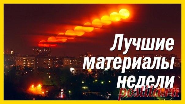 Собрали 5 самых популярных материалов этой недели. 1. Вибриоз. Как устрицы убивают людей: 2. Видео. Пассажирский лайнер едва не разбился при посадке: 3. Найдено самое старое дерево Европы: 4. Последняя в мире квакша редкого вида умерла, не оставив потомства: 5. Как появилась Луна. Новое исследование опровергло старую теорию: