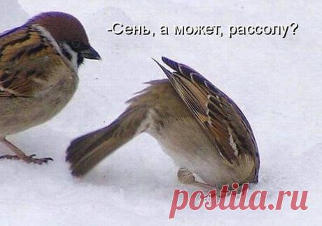 Интересные новости