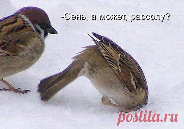 Интересные новости