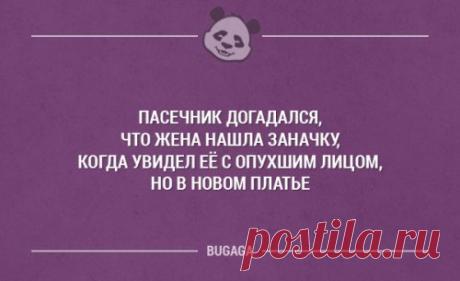 Доза позитива в прикольных картинках (38 шт)