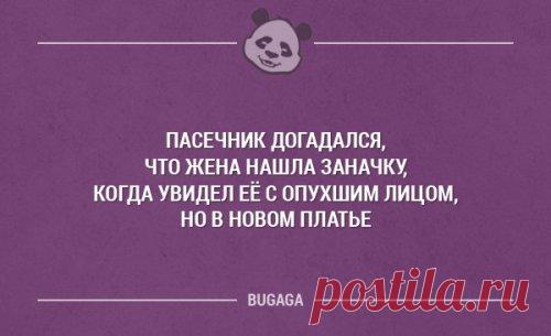 Доза позитива в прикольных картинках (38 шт)