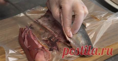 Как засолить сельдь за 30 минут: подробный рецепт рыбака с Севера