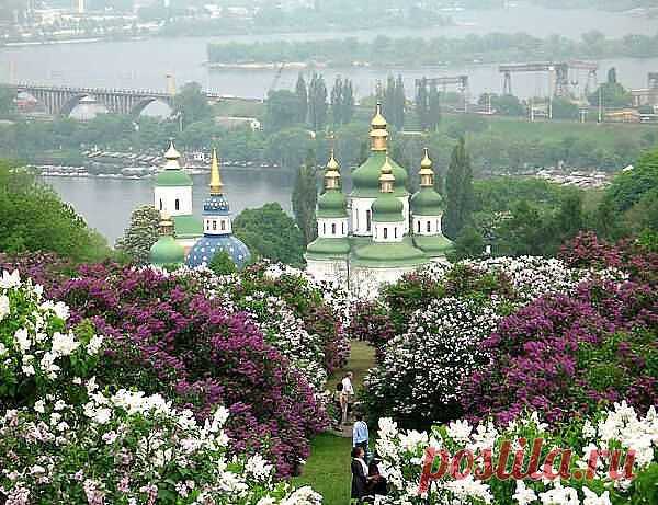 (17) Одноклассники