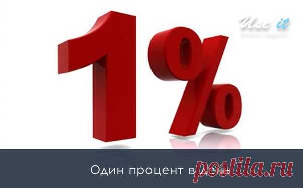 Один процент в день / Основы бизнеса