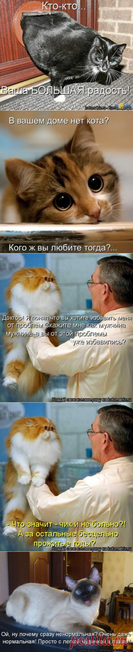 (+1) тема - Для хорошего настроения.. | ОБОРЖАКА ;)