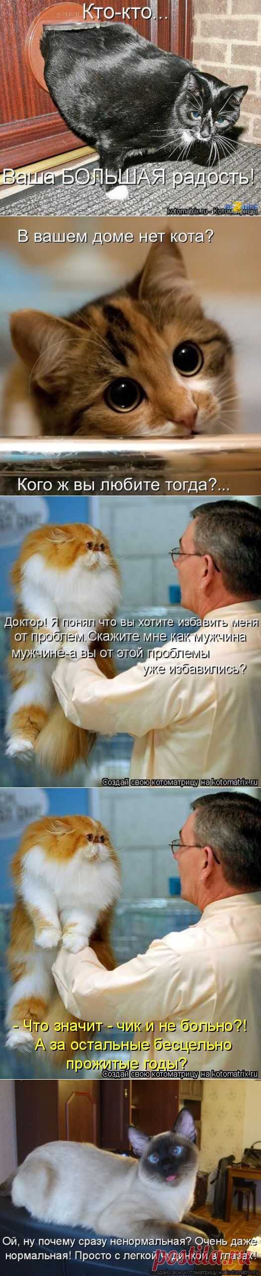 (+1) тема - Для хорошего настроения.. | ОБОРЖАКА ;)