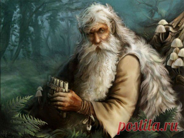 Новые сказки для детей. Современная сказка про Бабу Ягу и ее друзей