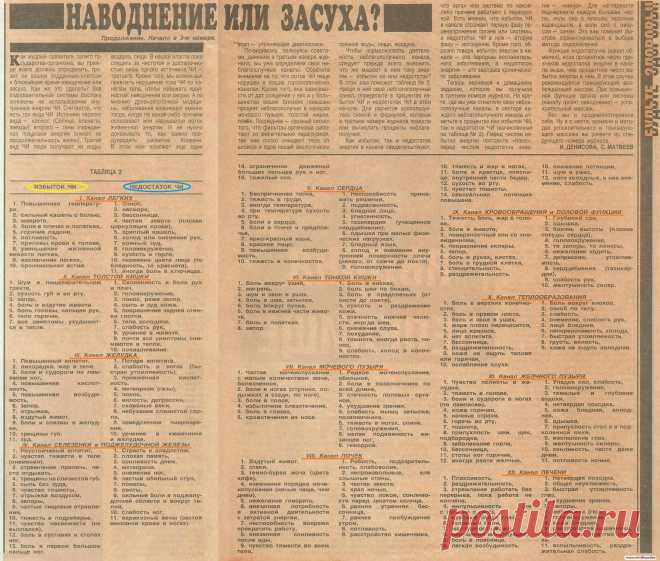 Меридианы нашего тела-2лист из 3х