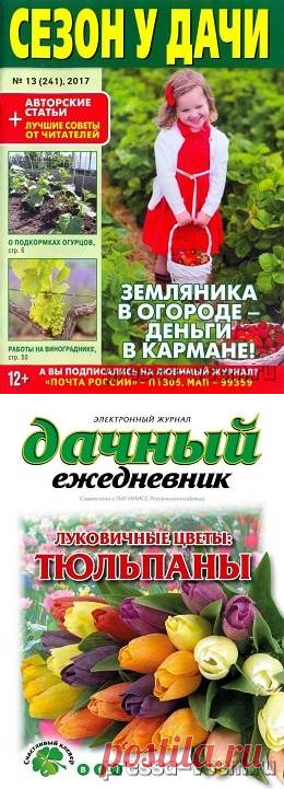 Сад, огород, дача.
