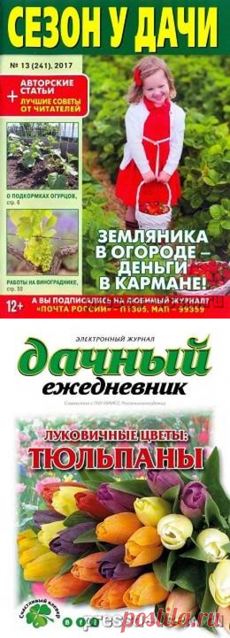 Сад, огород, дача.