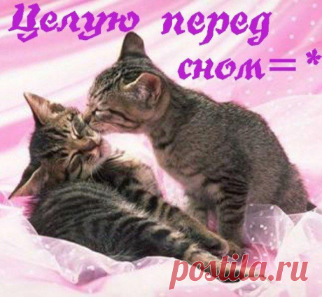поцелуй на ночь