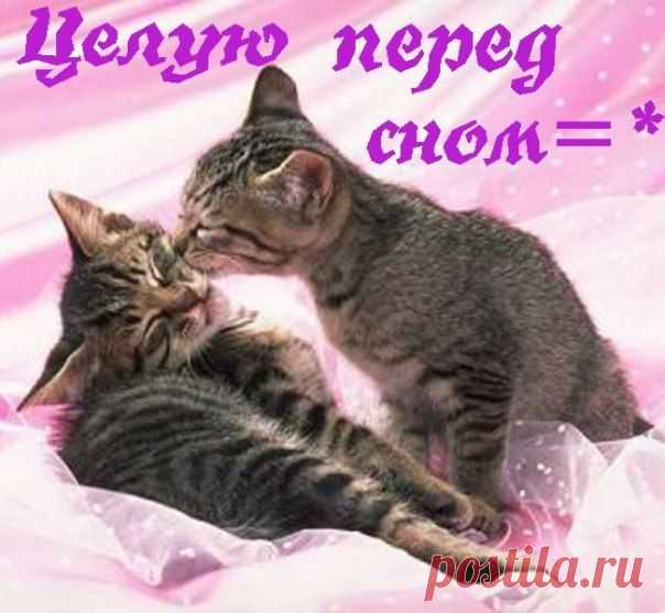поцелуй на ночь