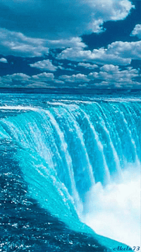 f7dba01239bd691f73a3d056a95fa07d.gif (346×615)