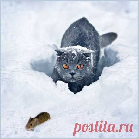 Follow me...