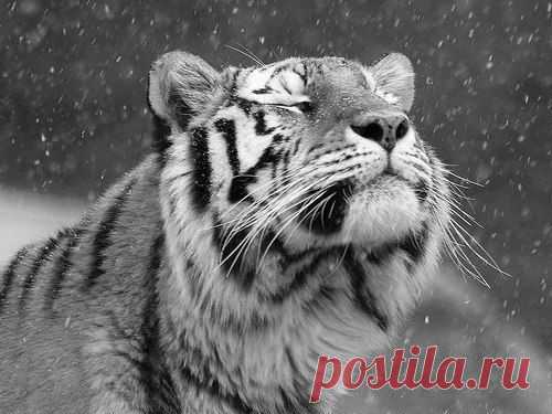 Мой Мир@Mail.Ru