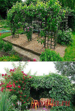 Как самому создать беседку из живых растений.