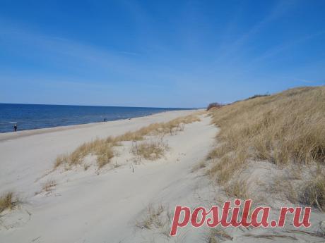 Куршская коса