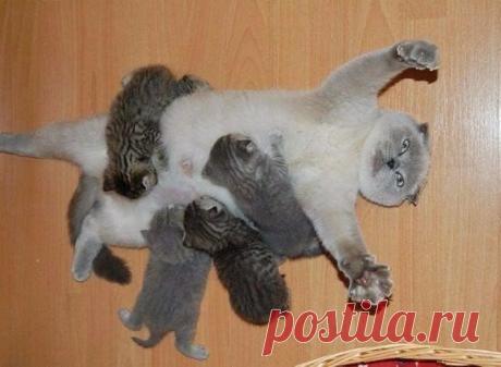 Счастливая мама :)