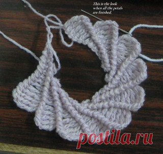 Новости   красивый
