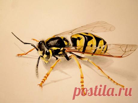 Больше не рисую на заказ. Только бесплатно
Рисовать я люблю очень. Художественная школа, потом ВУЗ с красным дипломом. Только вот зарабатывать на рисовании я не планировала никогда. С первого курса устроилась работать в детский дом педагогом доп.образования (в нашей семье целая педагогическая династия). А потом — ушла на телевидение и параллельно занималась созданием иллюстраций для детских книжек. Ну, не отпускало меня желания […]
Читай дальше на сайте. Жми подробнее ➡