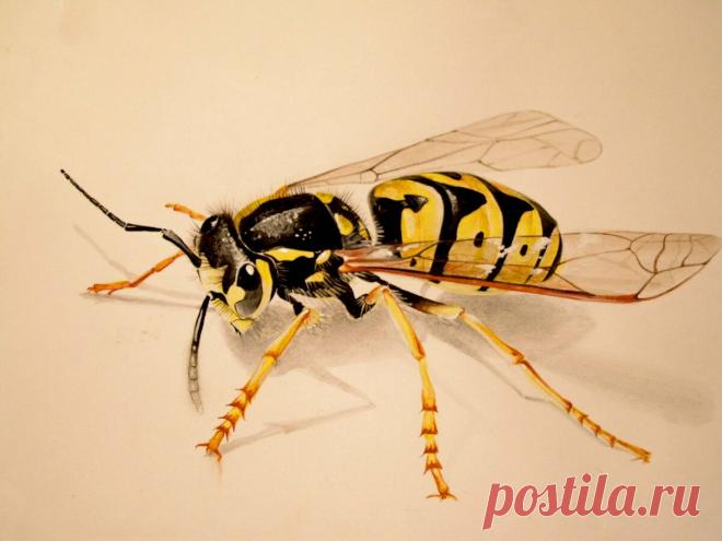 Больше не рисую на заказ. Только бесплатно
Рисовать я люблю очень. Художественная школа, потом ВУЗ с красным дипломом. Только вот зарабатывать на рисовании я не планировала никогда. С первого курса устроилась работать в детский дом педагогом доп.образования (в нашей семье целая педагогическая династия). А потом — ушла на телевидение и параллельно занималась созданием иллюстраций для детских книжек. Ну, не отпускало меня желания […]
Читай дальше на сайте. Жми подробнее ➡