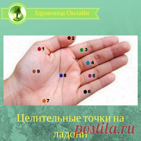 Целительные точки на ладони | У МЕНЯ В ГОСТЯХ. | Яндекс Дзен