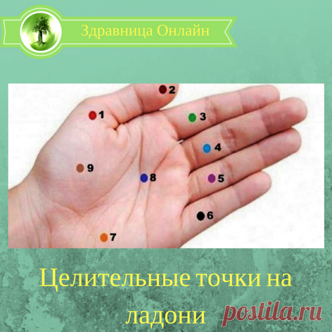 Целительные точки на ладони | У МЕНЯ В ГОСТЯХ. | Яндекс Дзен