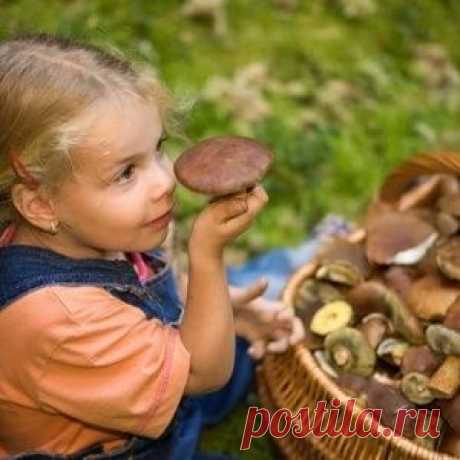 Изумрудное масло