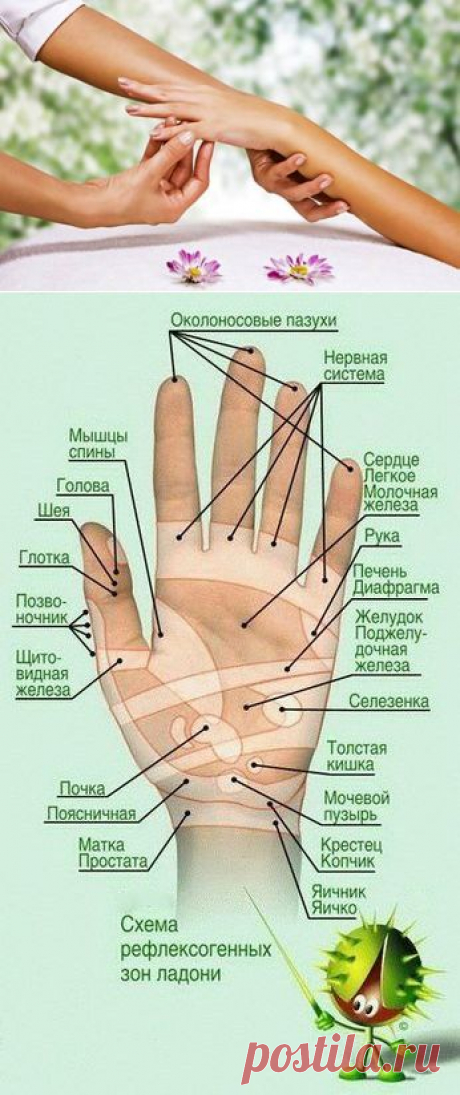 Секрет Древних Врачевателей! Всего одно движение улучшит Ваше здоровье!