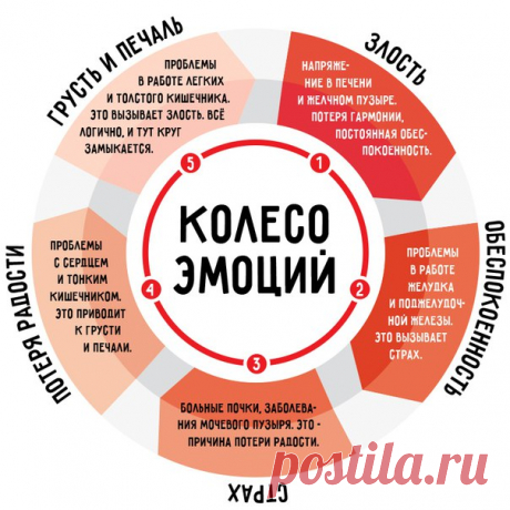 Как эмоции влияют на наше здоровье. То, что ты чувствуешь, может тебя убить!