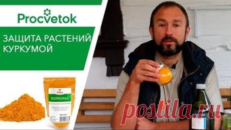 УНИКАЛЬНЫЙ экстракт для томатов и огурцов!