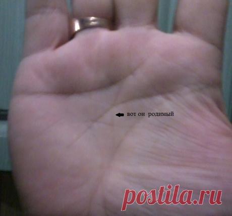 Денежный треугольник на руке фото