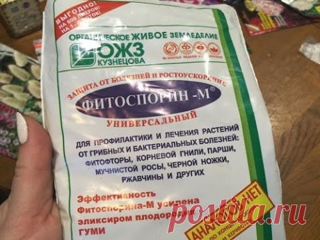 ФИТОСПОРИН - ОБЯЗАТЕЛЕН ДЛЯ РАССАДЫ   НЕ РИСКУЙТЕ !