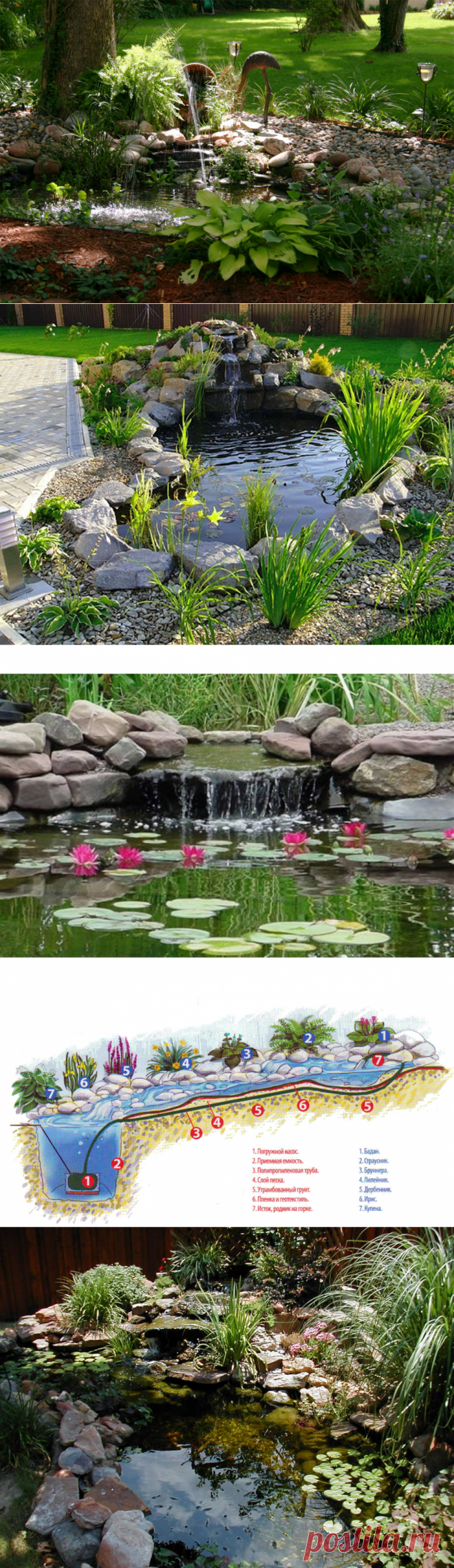 Инструкция: как сделать небольшой водоём на вашем участке - Roomble.com