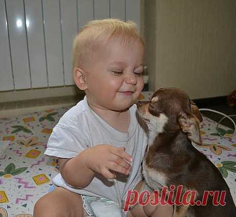 вместе веселей