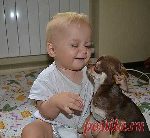 вместе веселей